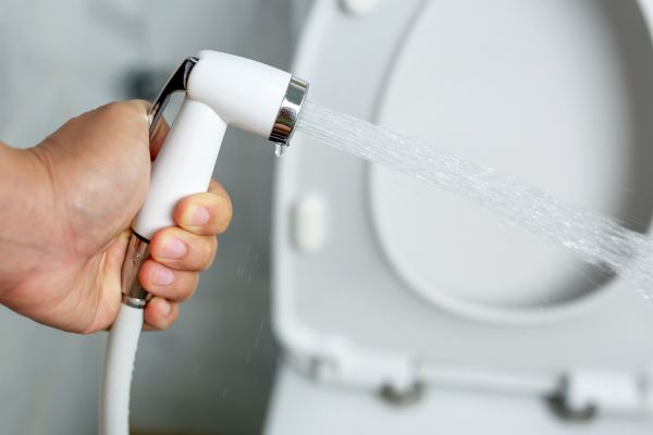 Cost of Bidet Installation in Puyallup