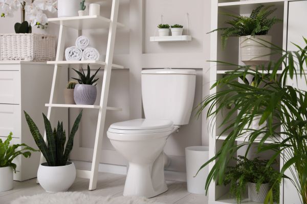 Cost of Toilet Repair in Puyallup