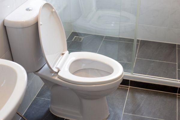 Cost of Toilet Replacement in Puyallup
