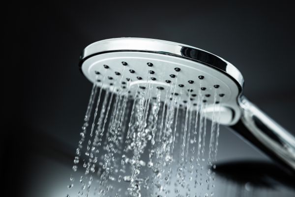 Cost of Shower Head Replacement in Puyallup