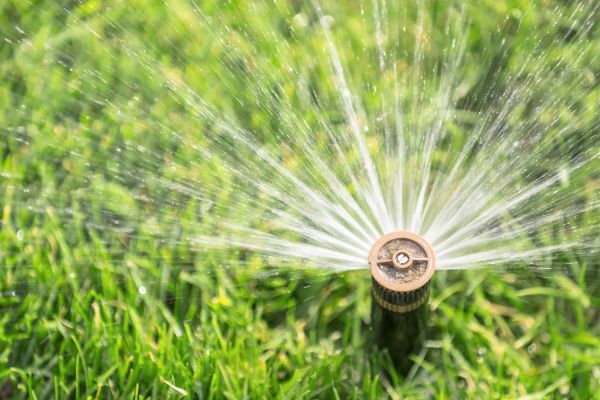 Cost of Spigot Installation in Puyallup