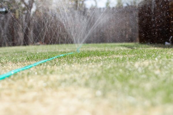 Cost of PVC Line Repair in Puyallup