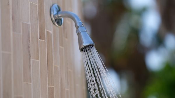 Cost of Showerhead Repair in Puyallup