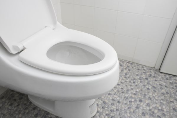 Cost of New Toilet Installation in Puyallup