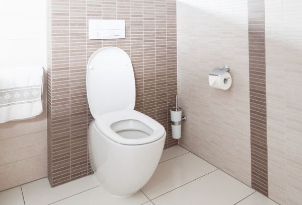 Cost of Toilet Plumbing Installation in Puyallup
